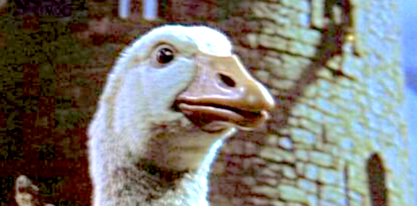 Midweek Meme Mania: Just be Happy, Friend. Everything is Going to be Fine.